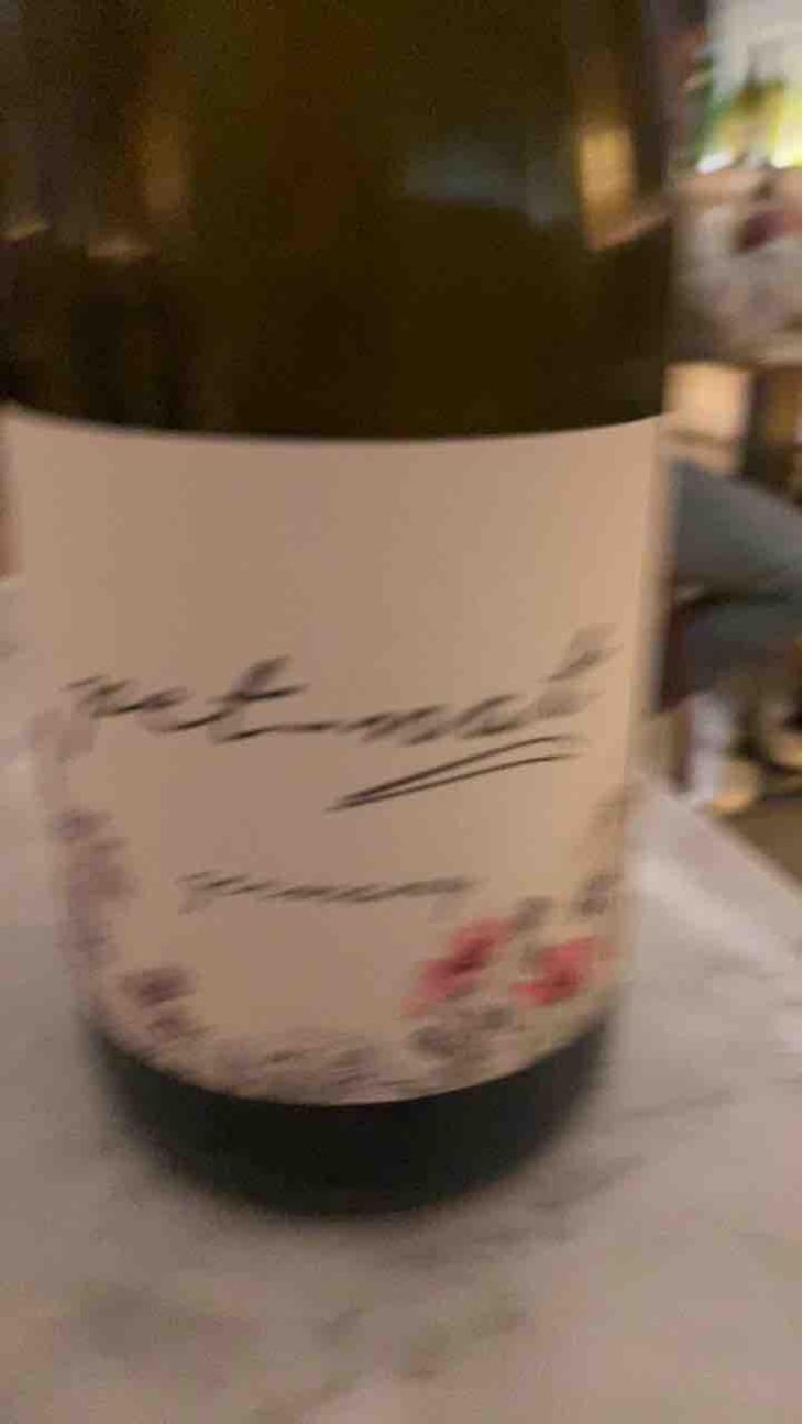 Pet Nat - Brand Bros - Weingut Brand - Daniel & Jonas Brand 