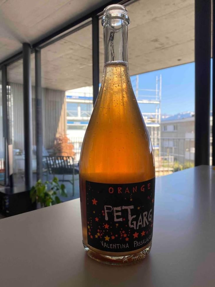 Petgarg Orange - Valentina Passalacqua - Valentina Passalacqua 