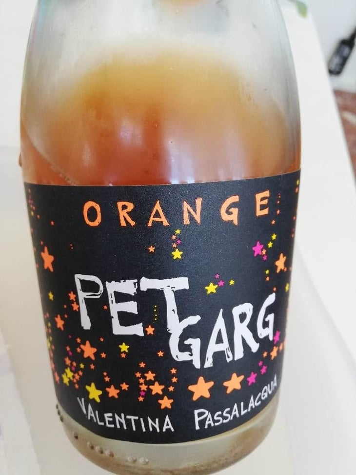 Petgarg Orange - Valentina Passalacqua - Valentina Passalacqua 