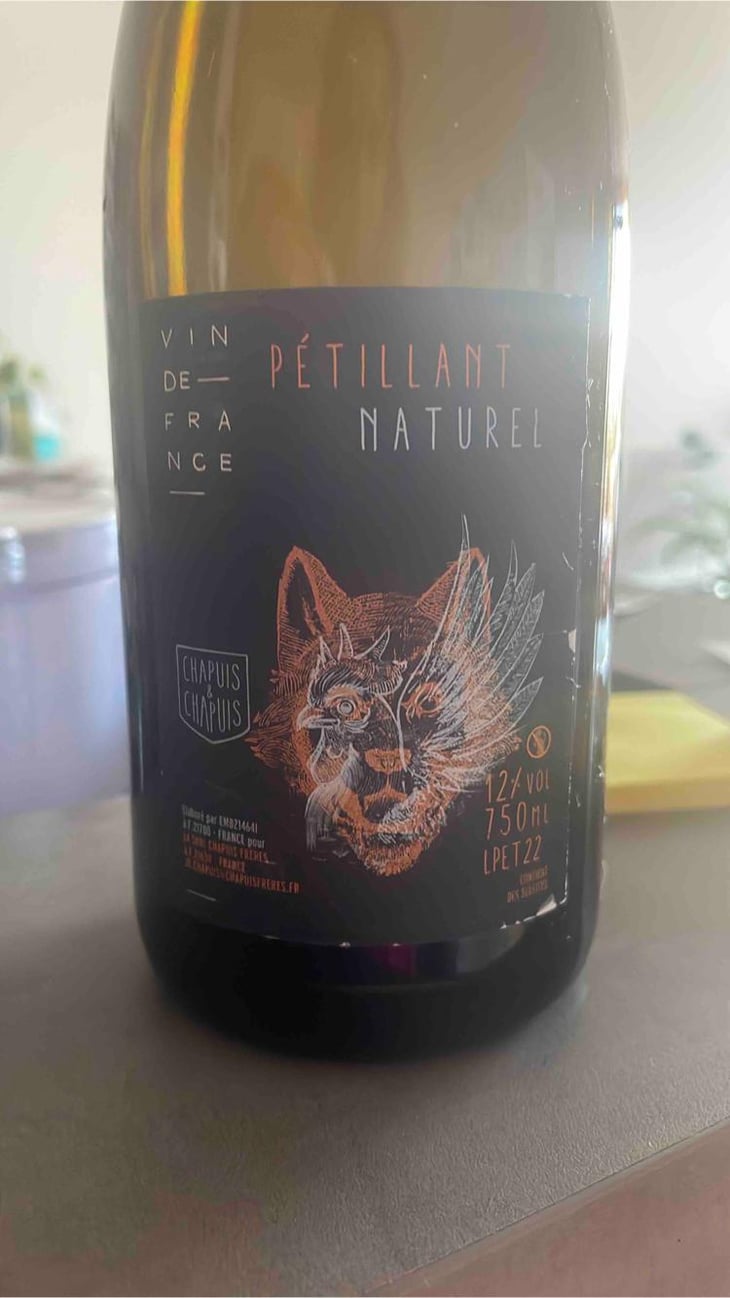 Pétillant Naturel - Chapuis & Chapuis - Romain & Jean-Guillaume Chapuis 