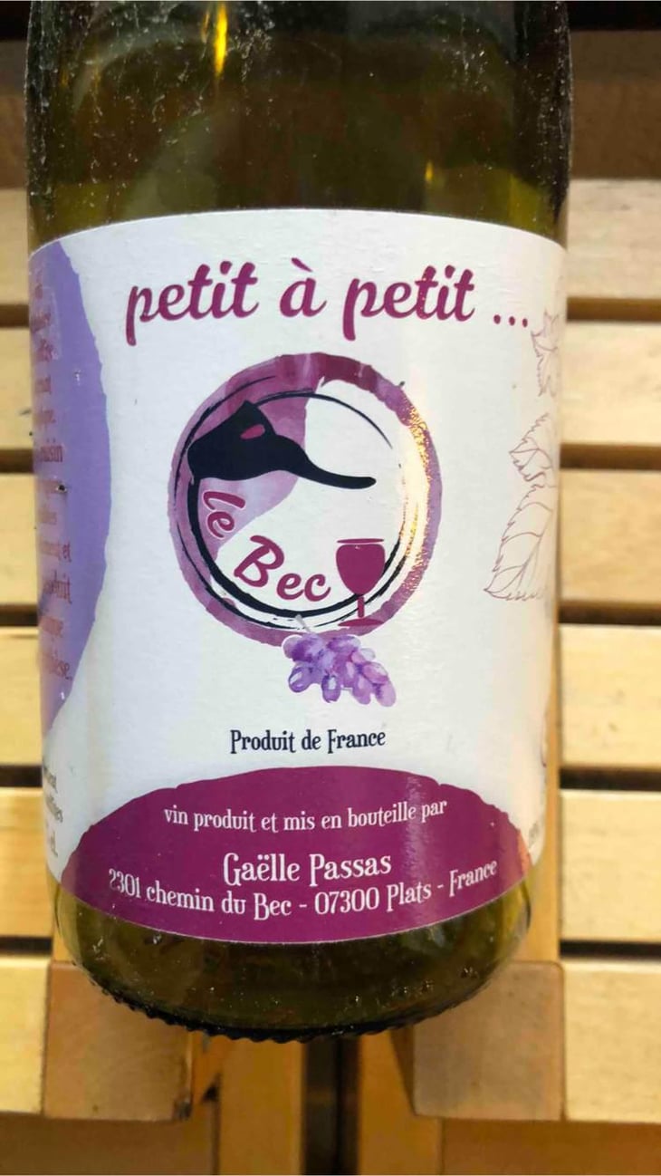Petit À Petit - Gaëlle Passas - Gaëlle Passas 