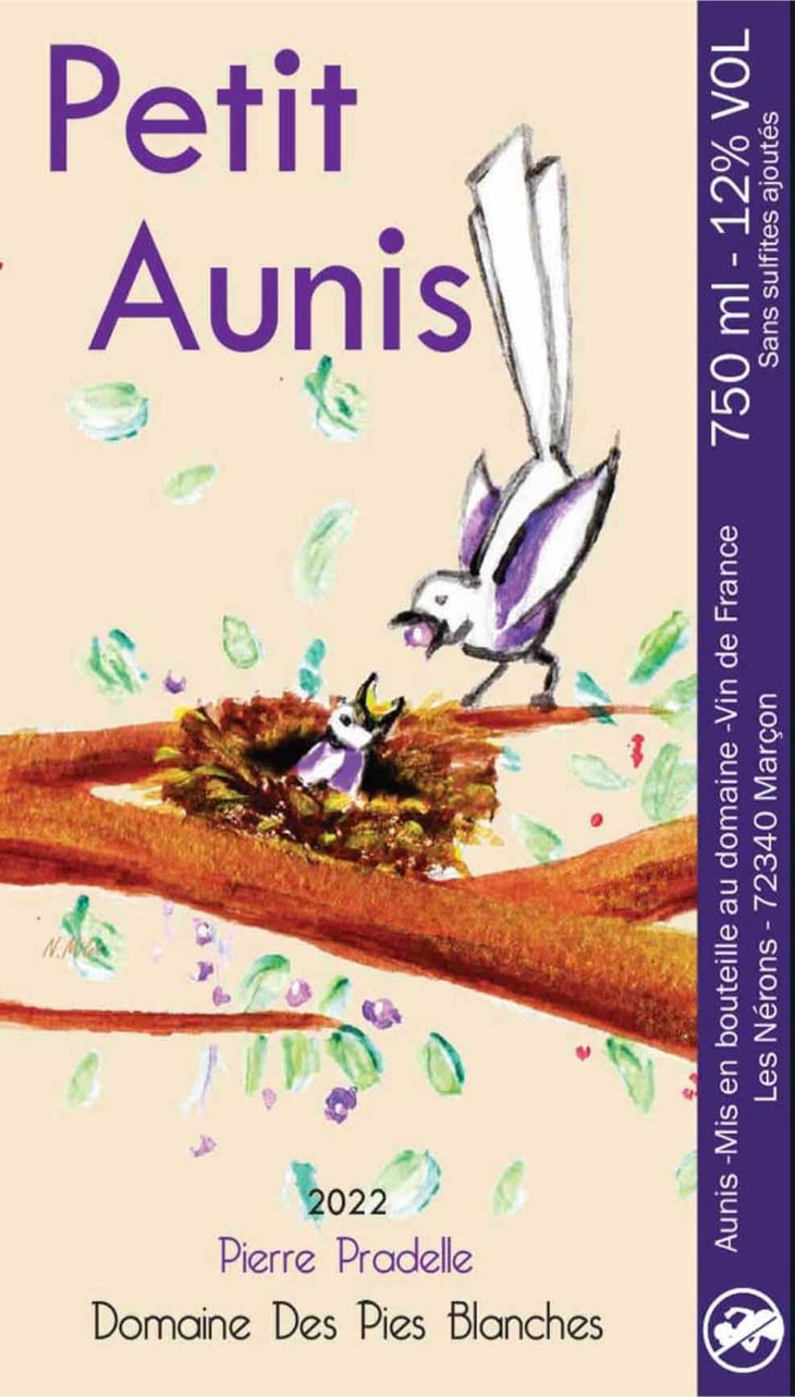 Petit Aunis 2018 2018 - Domaine des Pies Blanches - Pierre Pradelle 