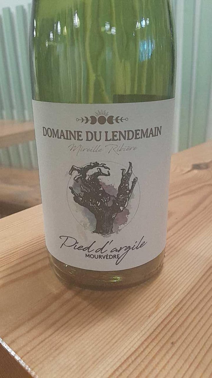 Petit Bourgeon - Domaine du Lendemain - Mireille Ribière 