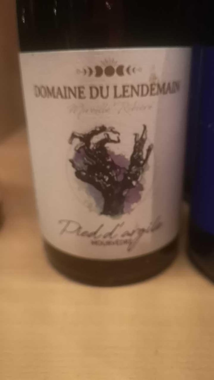 Petit Bourgeon - Domaine du Lendemain - Mireille Ribière 