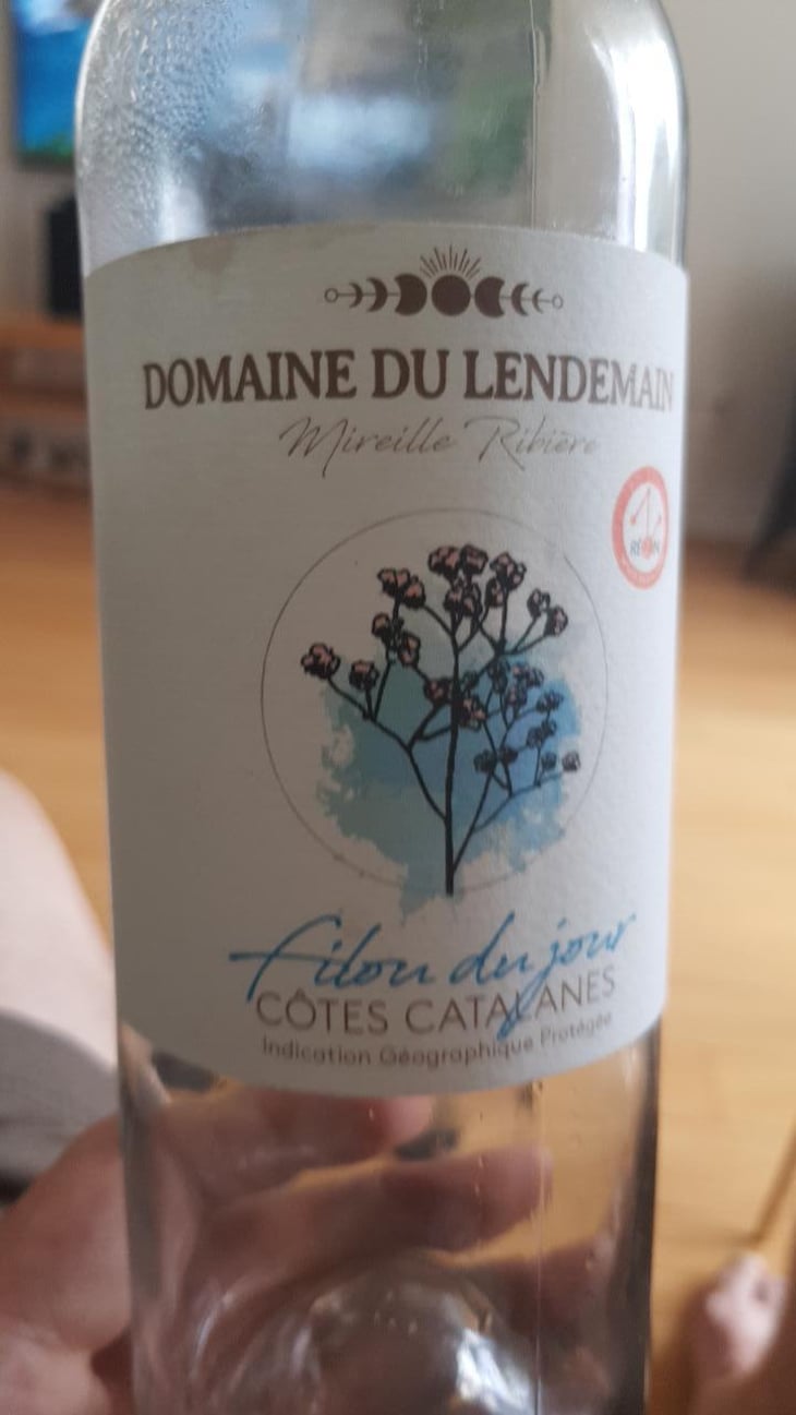 Petit Bourgeon - Domaine du Lendemain - Mireille Ribière 