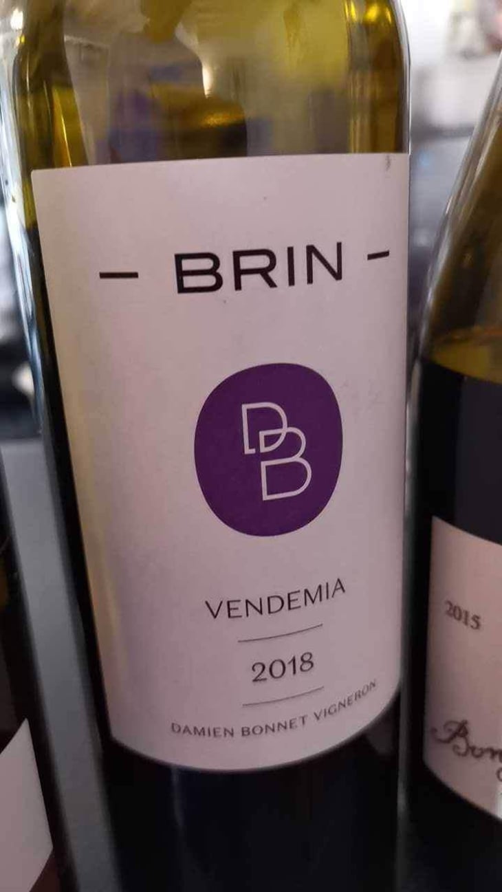 Petit Brin - Domaine de Brin - Damien Bonnet 