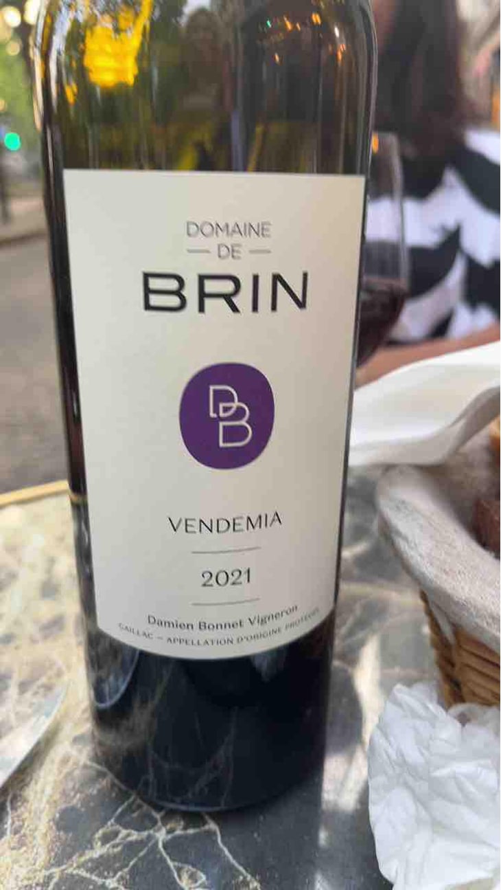 Petit Brin - Domaine de Brin - Damien Bonnet 