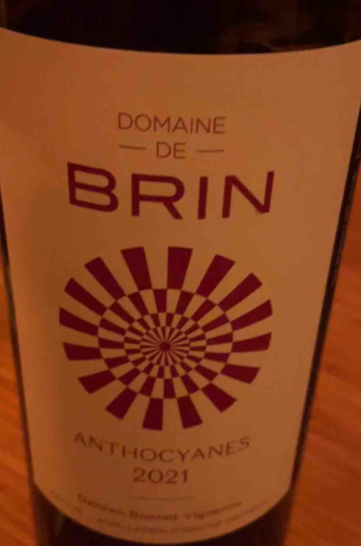 Petit Brin - Domaine de Brin - Damien Bonnet 