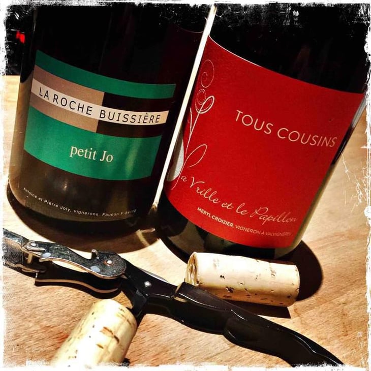 Petit Jo - La Roche Buissière - Laurence & Antoine Joly -2023