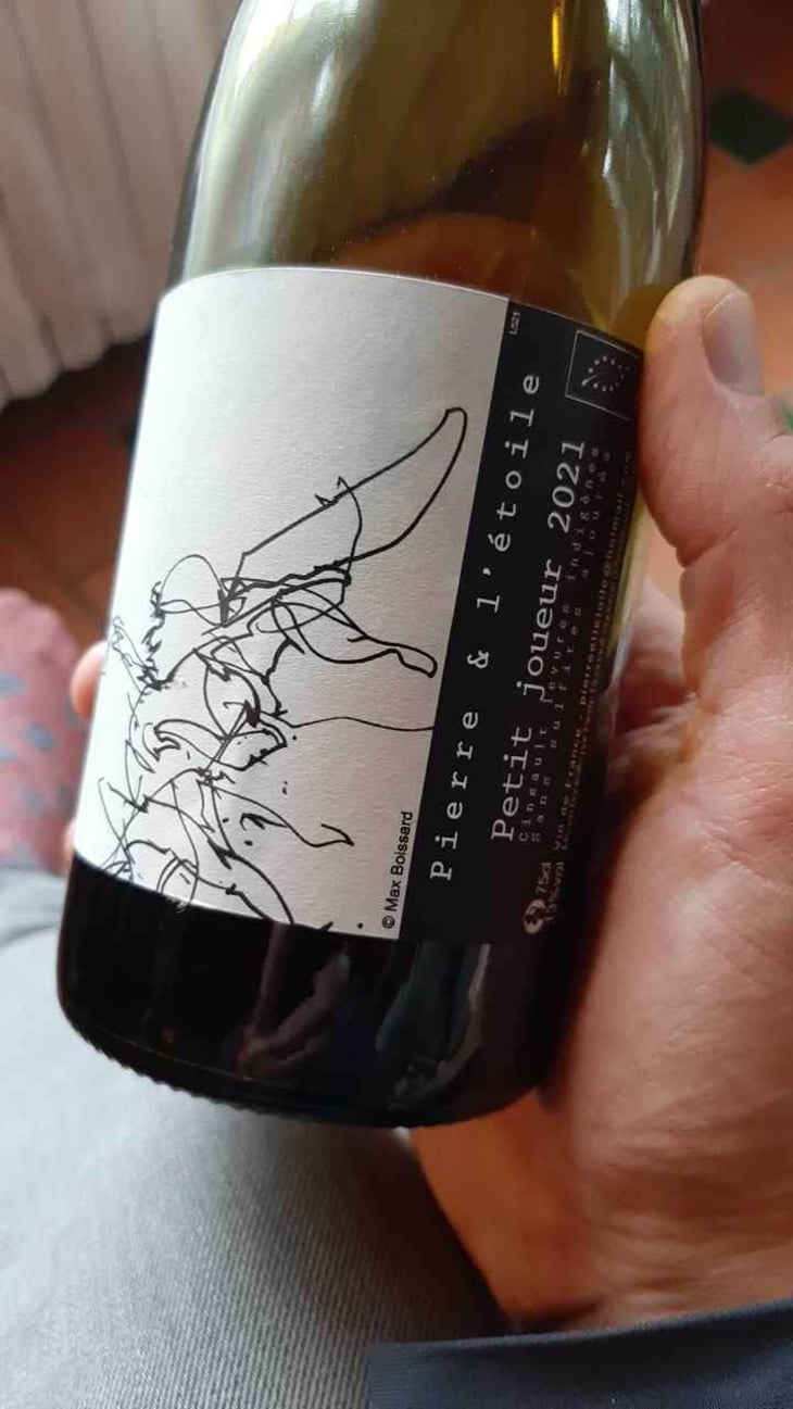 Petit Joueur - Domaine Pierre et l'étoile - Pierre Regnault 