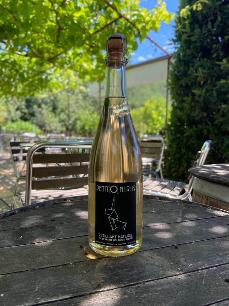 Petit Onirik - Domaine de la Tourlaudière - Romain Petiteau -2020