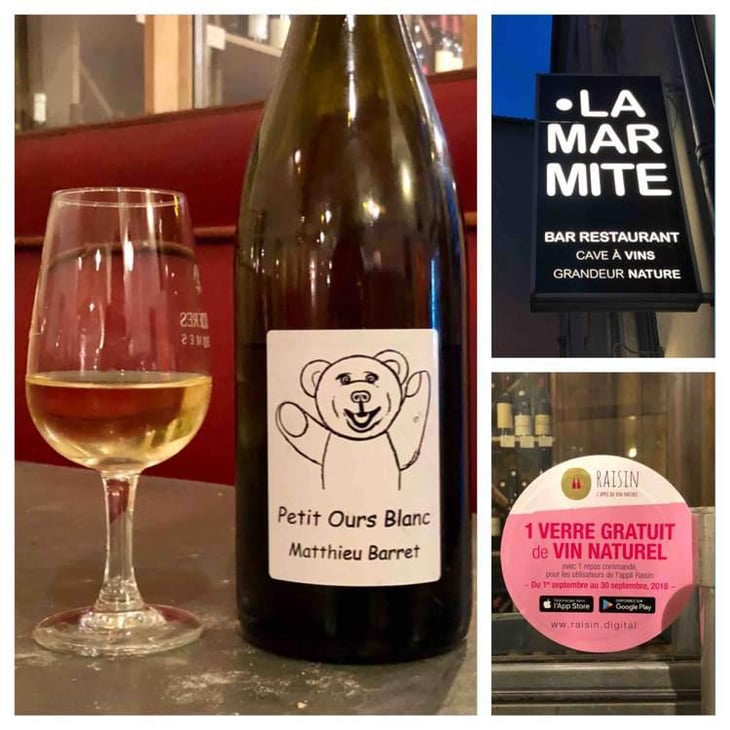 Petit Ours Blanc - Domaine du Coulet - Matthieu Barret 