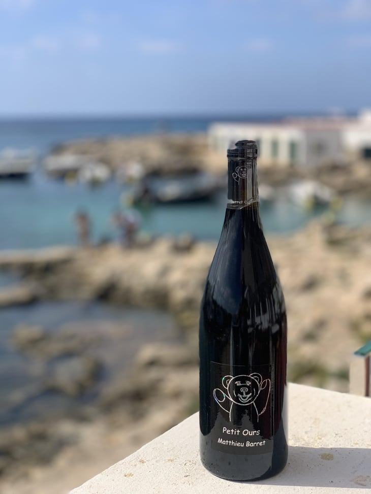 Petit Ours - Domaine du Coulet - Matthieu Barret 