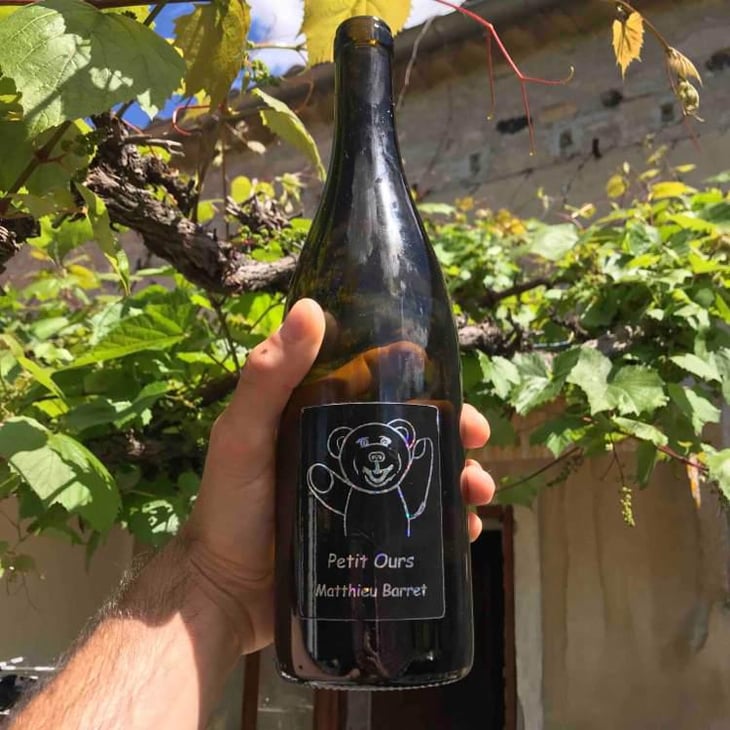 Petit Ours - Domaine du Coulet - Matthieu Barret 