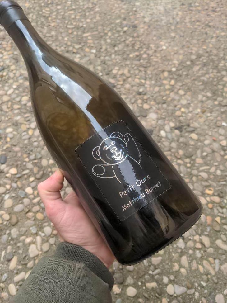 Petit Ours - Domaine du Coulet - Matthieu Barret 