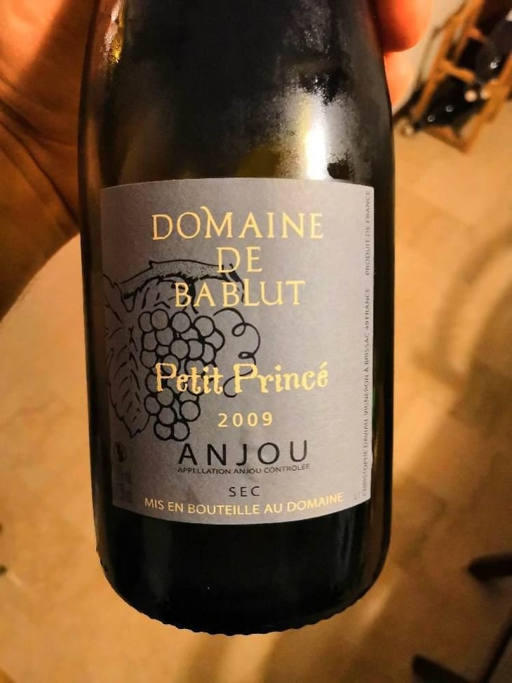 Petit Princé - Domaine de Bablut - Christophe & Antoine Daviau 