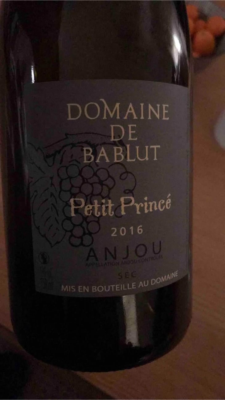 Petit Princé - Domaine de Bablut - Christophe & Antoine Daviau 