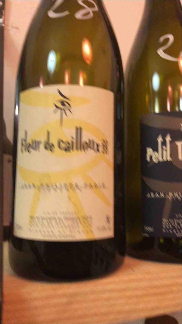 Petit Taureau - Domaine Jean-Philippe Padié - Jean-Philippe Padié 