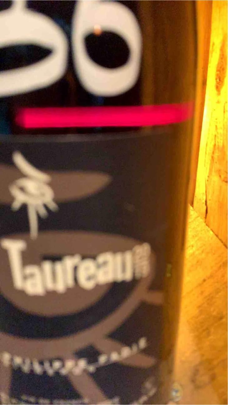 Petit Taureau - Domaine Jean-Philippe Padié - Jean-Philippe Padié 