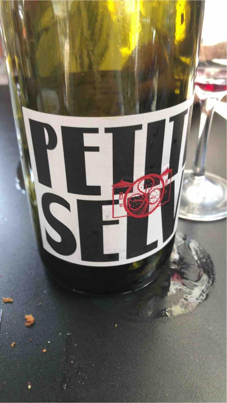 Petite Selve Rouge - Château de la Selve - Florence & Benoît Chazallon 