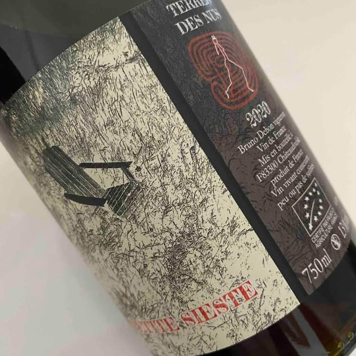 Petite Sieste - Terres Des Nus - Bruno Debon 