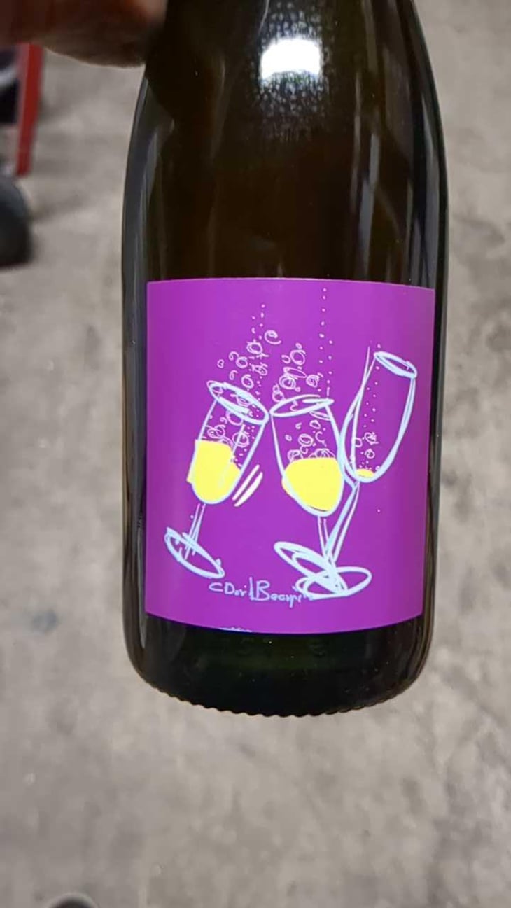 Pet’Nat’ - Domaine David-Beaupère - Louis-Clément David-Beaupère 