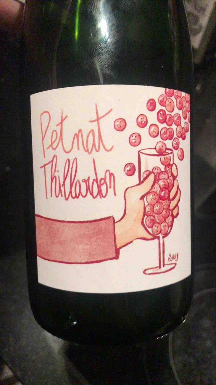 Petnat - Domaine Thillardon - Aude, Jean-Baptiste, Charles et Paul-Henri Thillardon 