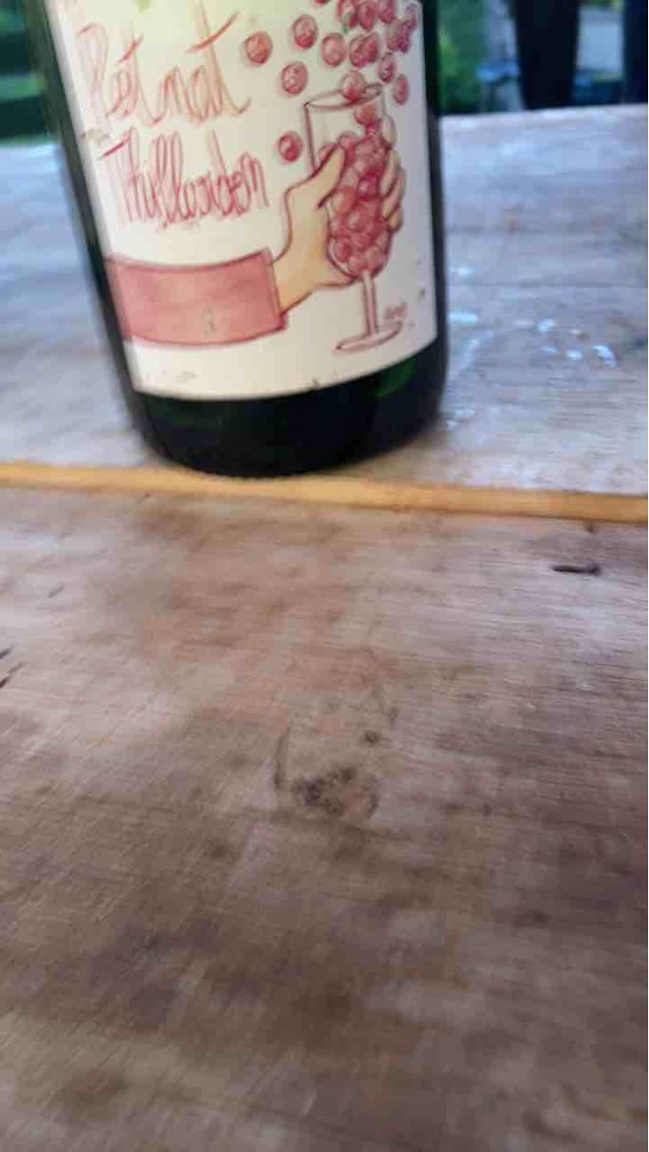 Petnat - Domaine Thillardon - Aude, Jean-Baptiste, Charles et Paul-Henri Thillardon 
