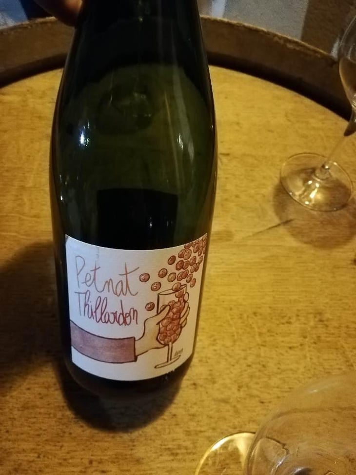 Petnat - Domaine Thillardon - Aude, Jean-Baptiste, Charles et Paul-Henri Thillardon 