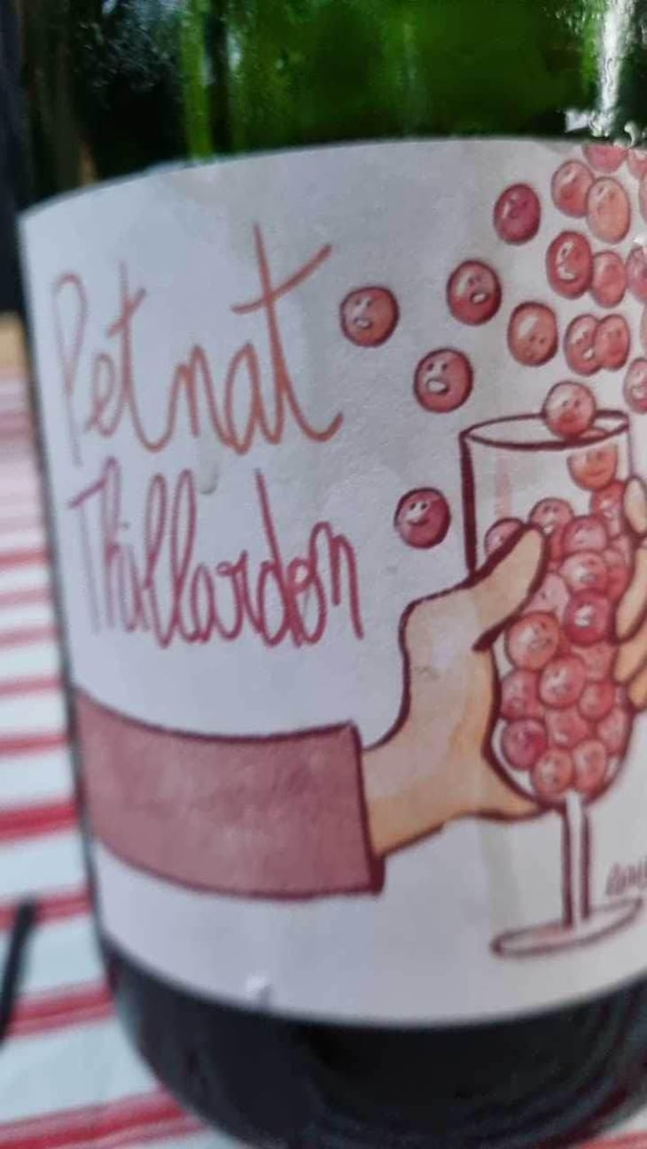 Petnat - Domaine Thillardon - Aude, Jean-Baptiste, Charles et Paul-Henri Thillardon 