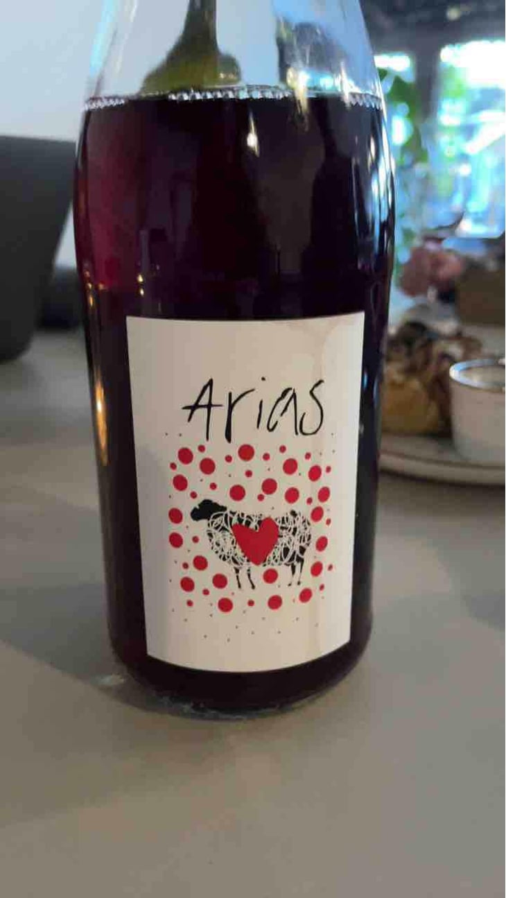 Petnat Punk à chèvre - Domaine Arias - Xoan Arias 