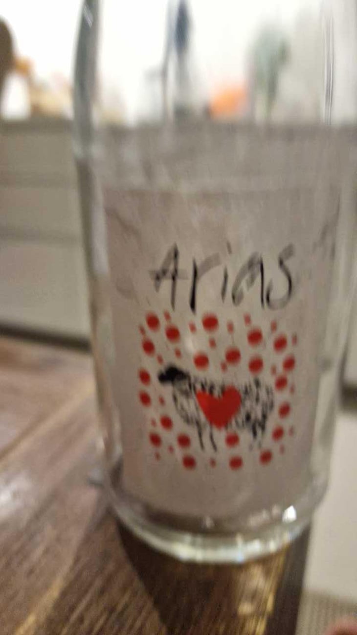 Petnat Punk à chèvre - Domaine Arias - Xoan Arias 