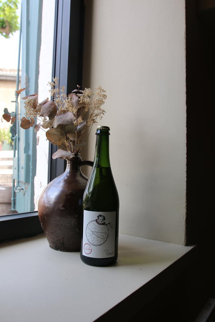 Petnat #21 - Domaine Chasselay - Claire & Fabien Chasselay -2021