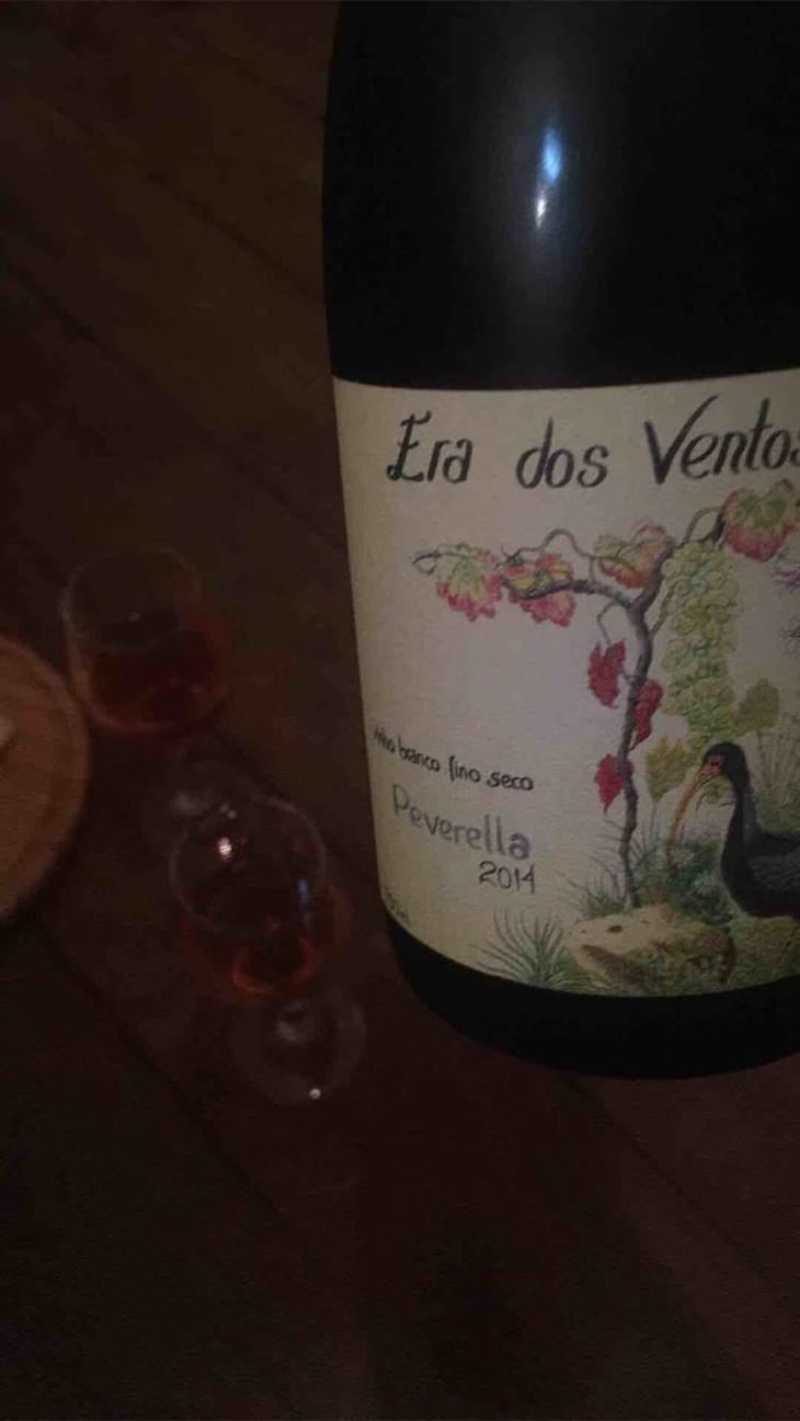 Peverella - Era dos Ventos - Álvaro Escher, Luíz Henrique Zanini, Pedro Hermeto 