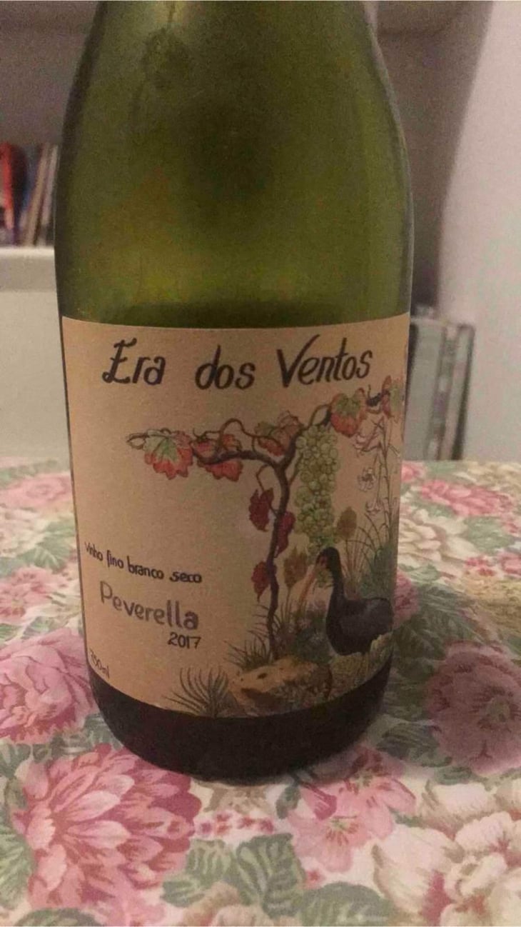 Peverella - Era dos Ventos - Álvaro Escher, Luíz Henrique Zanini, Pedro Hermeto 