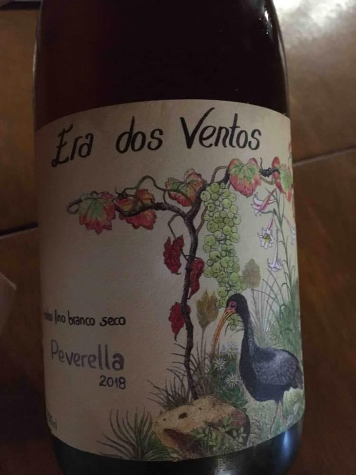 Peverella - Era dos Ventos - Álvaro Escher, Luíz Henrique Zanini, Pedro Hermeto 