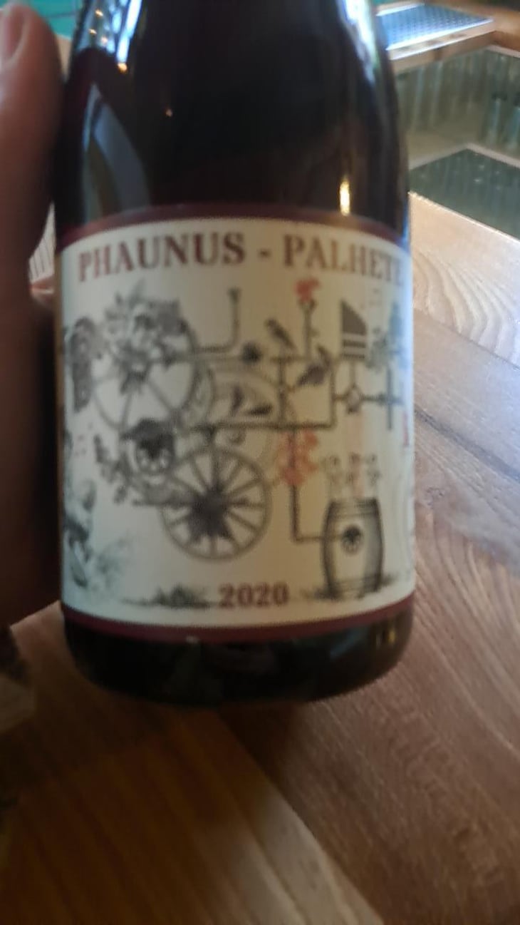 Phaunus-Loureiro - Aphros Wines Cellar - Vasco Croft, Tiago Sampaio & Miguel Viseu 