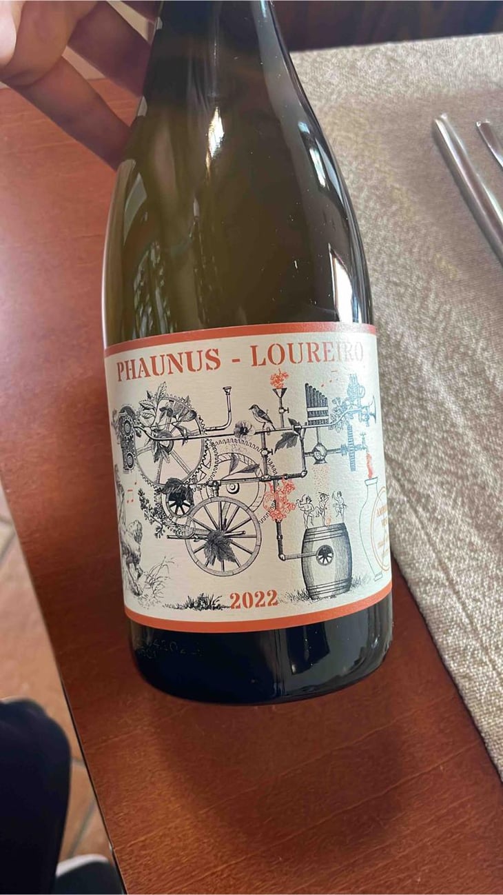 Phaunus-Loureiro - Aphros Wines Cellar - Vasco Croft, Tiago Sampaio & Miguel Viseu 