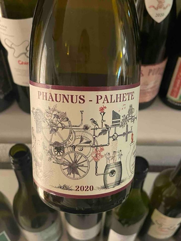 Phaunus Palhete - Aphros Wines Cellar - Vasco Croft, Tiago Sampaio & Miguel Viseu 
