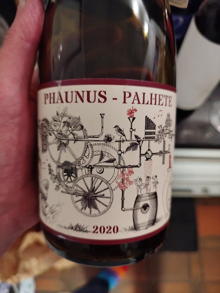 Phaunus Palhete - Aphros Wines Cellar - Vasco Croft, Tiago Sampaio & Miguel Viseu 