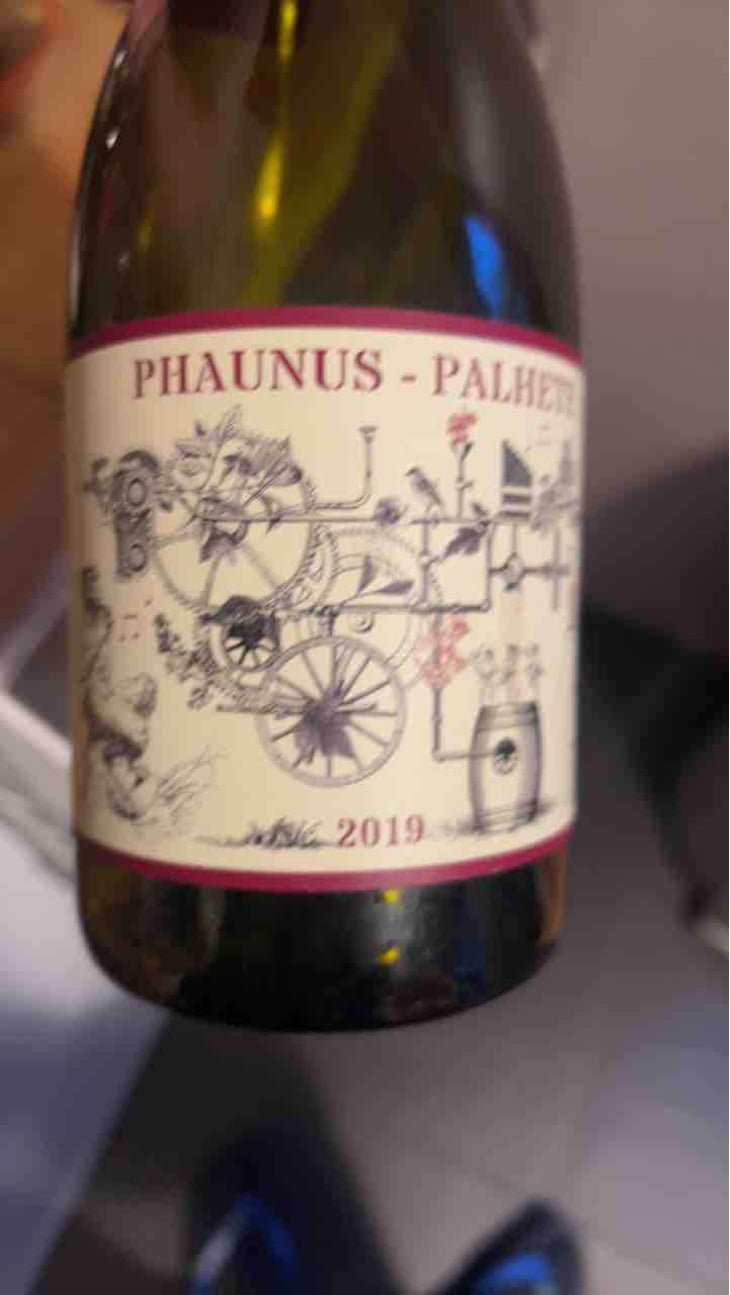 Phaunus Palhete - Aphros Wines Cellar - Vasco Croft, Tiago Sampaio & Miguel Viseu 