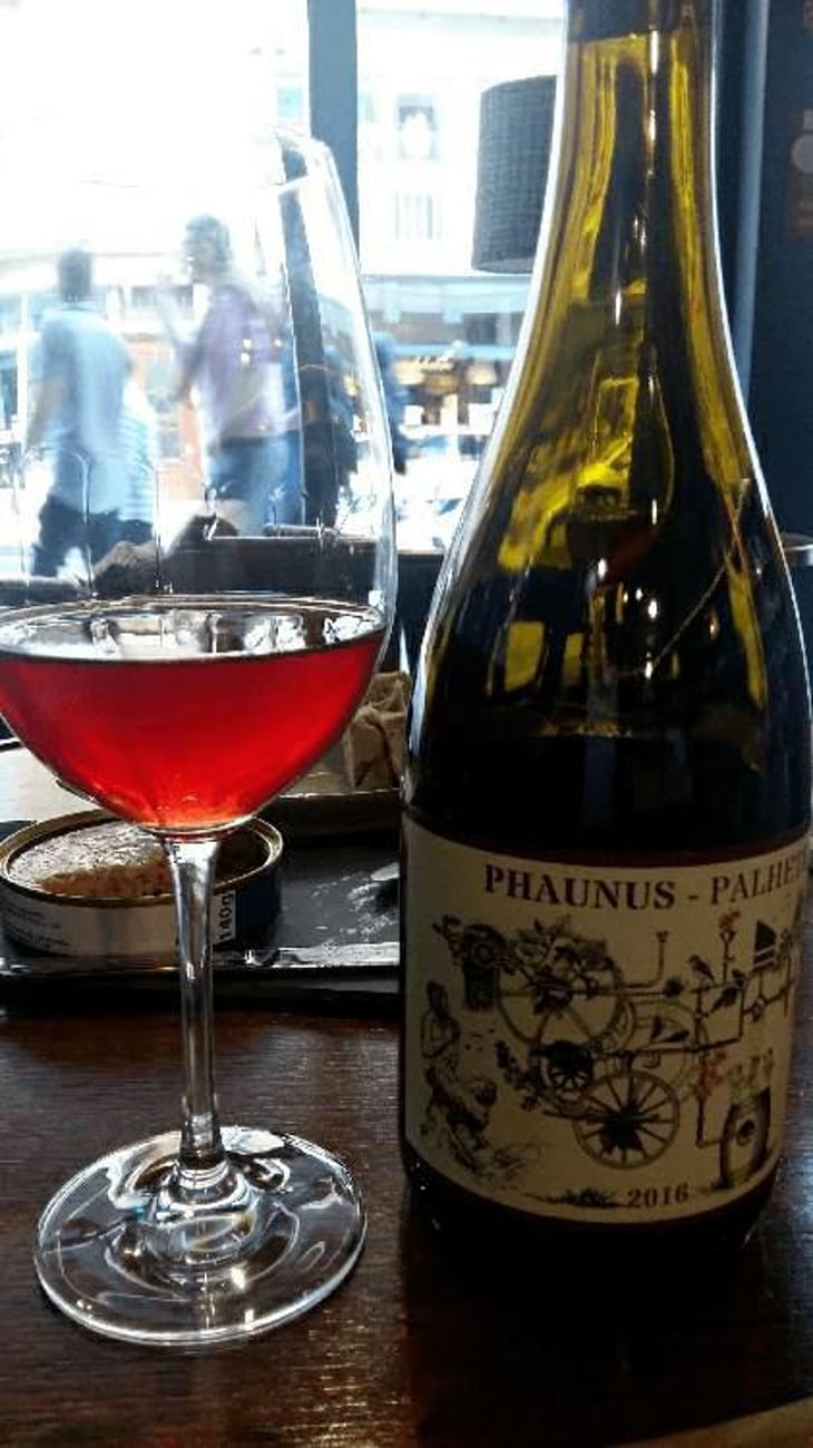 Phaunus Palhete - Aphros Wines Cellar - Vasco Croft, Tiago Sampaio & Miguel Viseu 