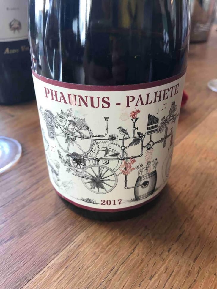 Phaunus Palhete - Aphros Wines Cellar - Vasco Croft, Tiago Sampaio & Miguel Viseu 