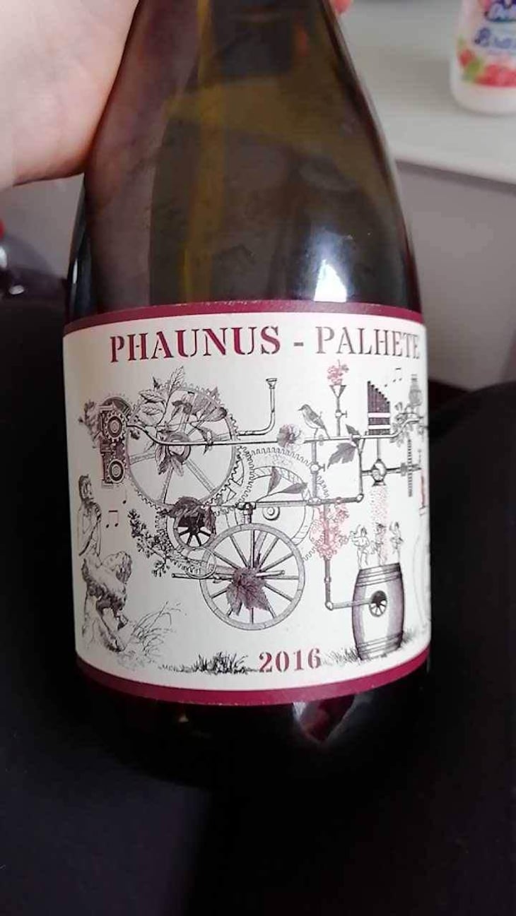 Phaunus Palhete - Aphros Wines Cellar - Vasco Croft, Tiago Sampaio & Miguel Viseu 