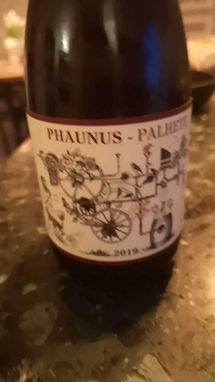 Phaunus Palhete - Aphros Wines Cellar - Vasco Croft, Tiago Sampaio & Miguel Viseu 