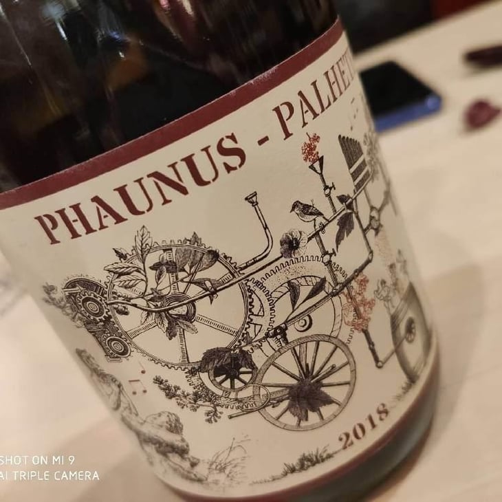 Phaunus Palhete - Aphros Wines Cellar - Vasco Croft, Tiago Sampaio & Miguel Viseu 