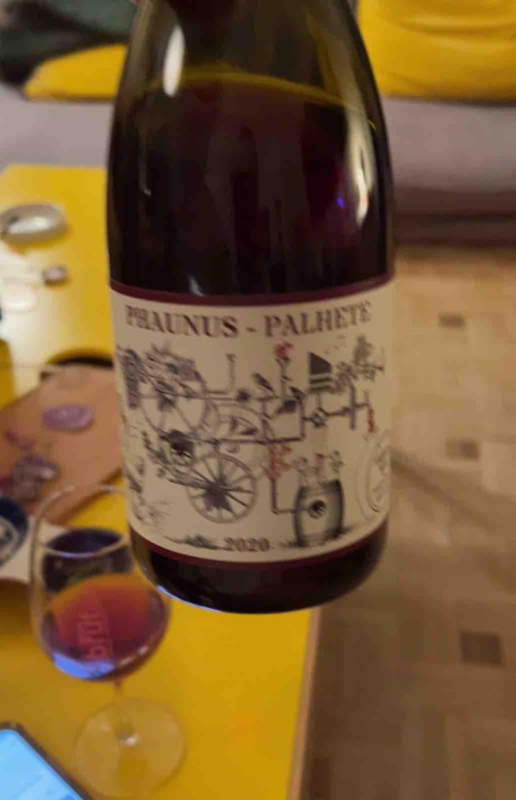 Phaunus Palhete - Aphros Wines Cellar - Vasco Croft, Tiago Sampaio & Miguel Viseu 