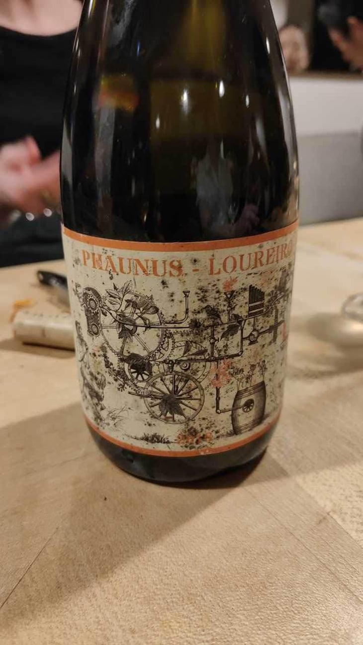Phaunus-Loureiro - Aphros Wines Cellar - Vasco Croft, Tiago Sampaio & Miguel Viseu 