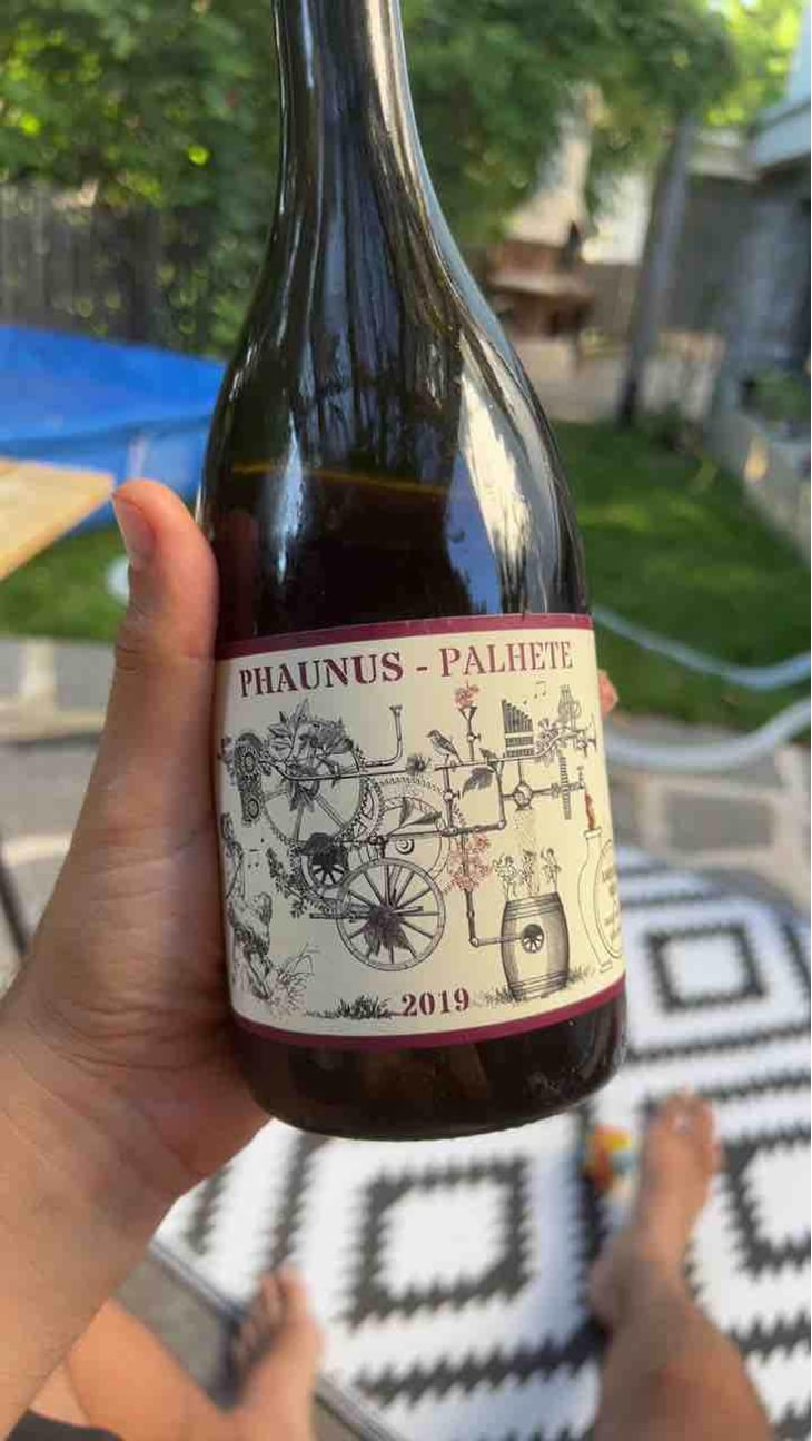 Phaunus-Loureiro - Aphros Wines Cellar - Vasco Croft, Tiago Sampaio & Miguel Viseu 