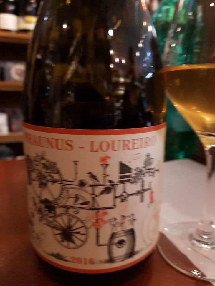 Phaunus-Loureiro - Aphros Wines Cellar - Vasco Croft, Tiago Sampaio & Miguel Viseu 